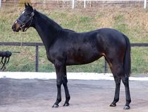 ����å��ǳ��������ɽ�����ޤ�