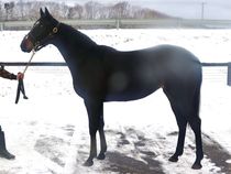 ����å��ǳ��������ɽ�����ޤ�