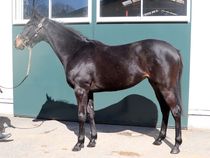 ����å��ǳ��������ɽ�����ޤ�