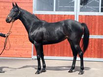 ����å��ǳ��������ɽ�����ޤ�