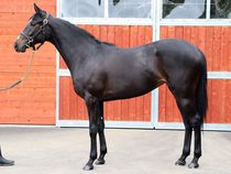 ����å��ǳ��������ɽ�����ޤ�