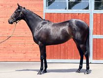 ����å��ǳ��������ɽ�����ޤ�