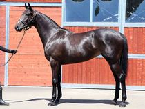 ����å��ǳ��������ɽ�����ޤ�