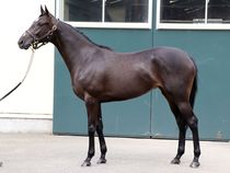 ����å��ǳ��������ɽ�����ޤ�