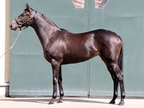 ����å��ǳ��������ɽ�����ޤ�