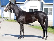 ����å��ǳ��������ɽ�����ޤ�