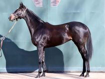 ����å��ǳ��������ɽ�����ޤ�