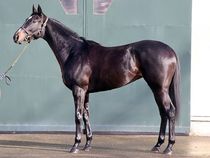 ����å��ǳ��������ɽ�����ޤ�