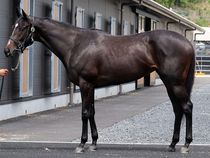 ����å��ǳ��������ɽ�����ޤ�