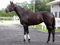 ����å��ǳ��������ɽ�����ޤ�