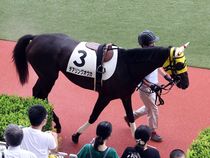 ����å��ǳ��������ɽ�����ޤ�