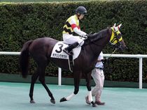 ����å��ǳ��������ɽ�����ޤ�