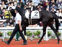 ����å��ǳ��������ɽ�����ޤ�