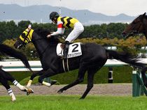 ����å��ǳ��������ɽ�����ޤ�