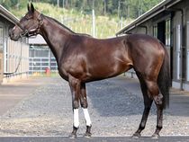 ����å��ǳ��������ɽ�����ޤ�