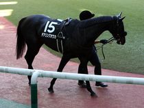 ����å��ǳ��������ɽ�����ޤ�