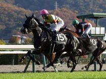 ����å��ǳ��������ɽ�����ޤ�