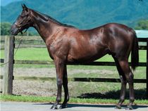 ����å��ǳ��������ɽ�����ޤ�