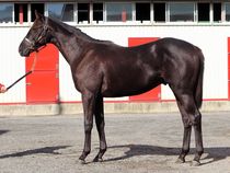 ����å��ǳ��������ɽ�����ޤ�