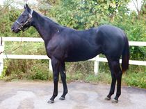 ����å��ǳ��������ɽ�����ޤ�