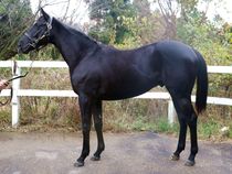 ����å��ǳ��������ɽ�����ޤ�