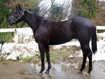 ����å��ǳ��������ɽ�����ޤ�