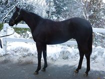 ����å��ǳ��������ɽ�����ޤ�