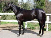 ����å��ǳ��������ɽ�����ޤ�