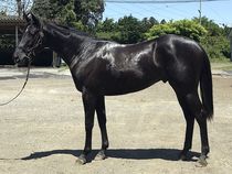 ����å��ǳ��������ɽ�����ޤ�