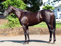 ����å��ǳ��������ɽ�����ޤ�