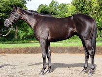 ����å��ǳ��������ɽ�����ޤ�