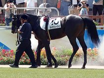 ����å��ǳ��������ɽ�����ޤ�