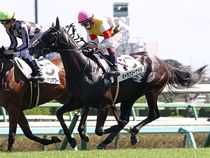 ����å��ǳ��������ɽ�����ޤ�