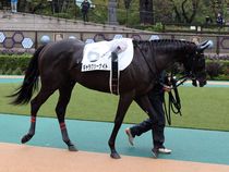 ����å��ǳ��������ɽ�����ޤ�