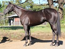 ����å��ǳ��������ɽ�����ޤ�