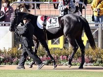 ����å��ǳ��������ɽ�����ޤ�