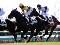 ����å��ǳ��������ɽ�����ޤ�