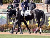 ����å��ǳ��������ɽ�����ޤ�