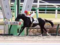 ����å��ǳ��������ɽ�����ޤ�