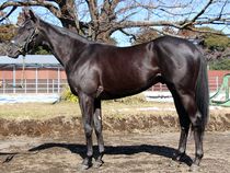 ����å��ǳ��������ɽ�����ޤ�