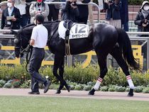 ����å��ǳ��������ɽ�����ޤ�