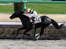 ����å��ǳ��������ɽ�����ޤ�