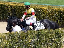 ����å��ǳ��������ɽ�����ޤ�