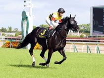 ����å��ǳ��������ɽ�����ޤ�