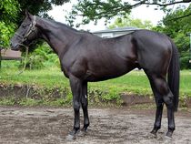 ����å��ǳ��������ɽ�����ޤ�