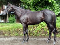 ����å��ǳ��������ɽ�����ޤ�