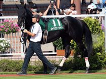 ����å��ǳ��������ɽ�����ޤ�