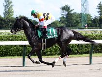 ����å��ǳ��������ɽ�����ޤ�