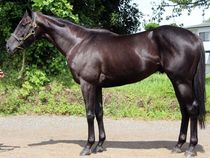 ����å��ǳ��������ɽ�����ޤ�