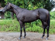 ����å��ǳ��������ɽ�����ޤ�